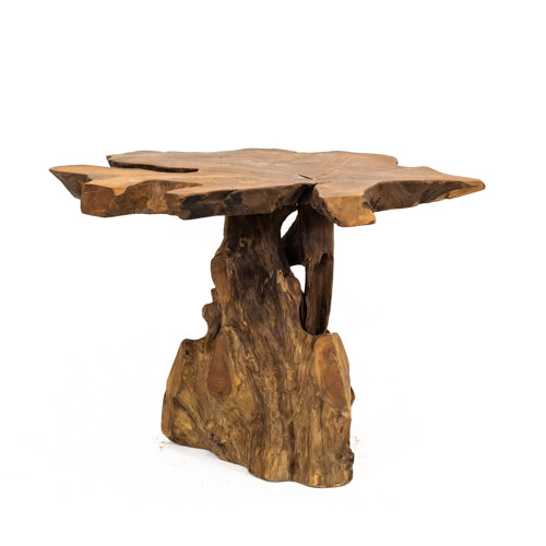 Mushroom Table