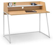 Palmer Desk